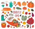 ÃÂ¡ute bright autumn set. Decoration of fall season. Royalty Free Stock Photo